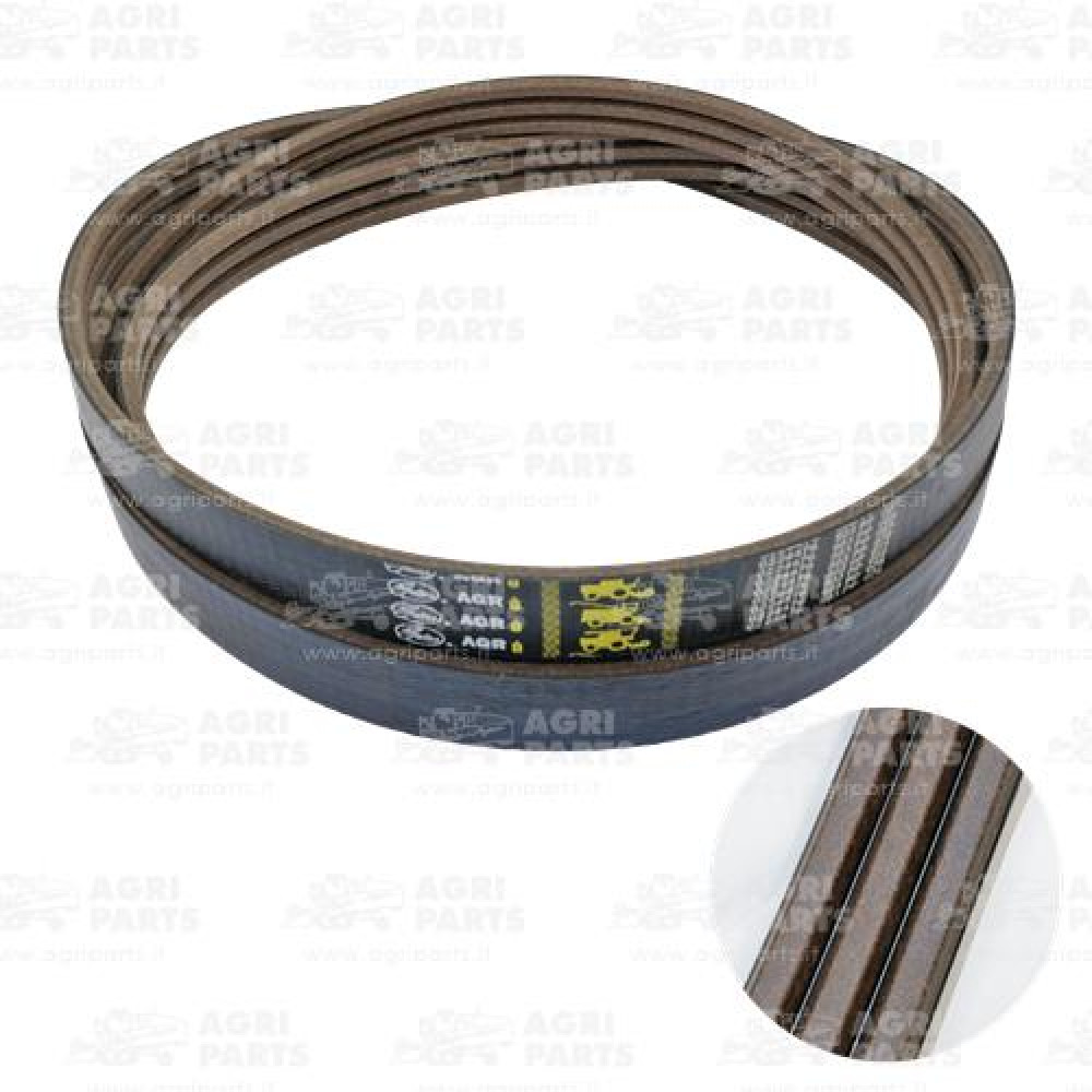 19AP013562 - CINGHIA - 19AP013562