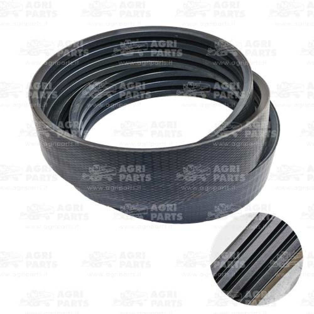 19AP013563 - CINGHIA - 19AP013563