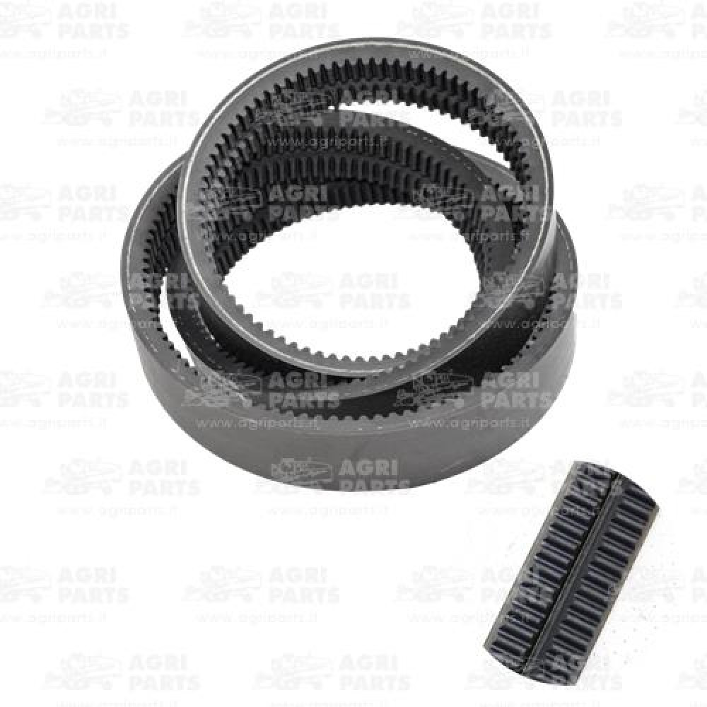 19AP013565 - BELT - 19AP013565