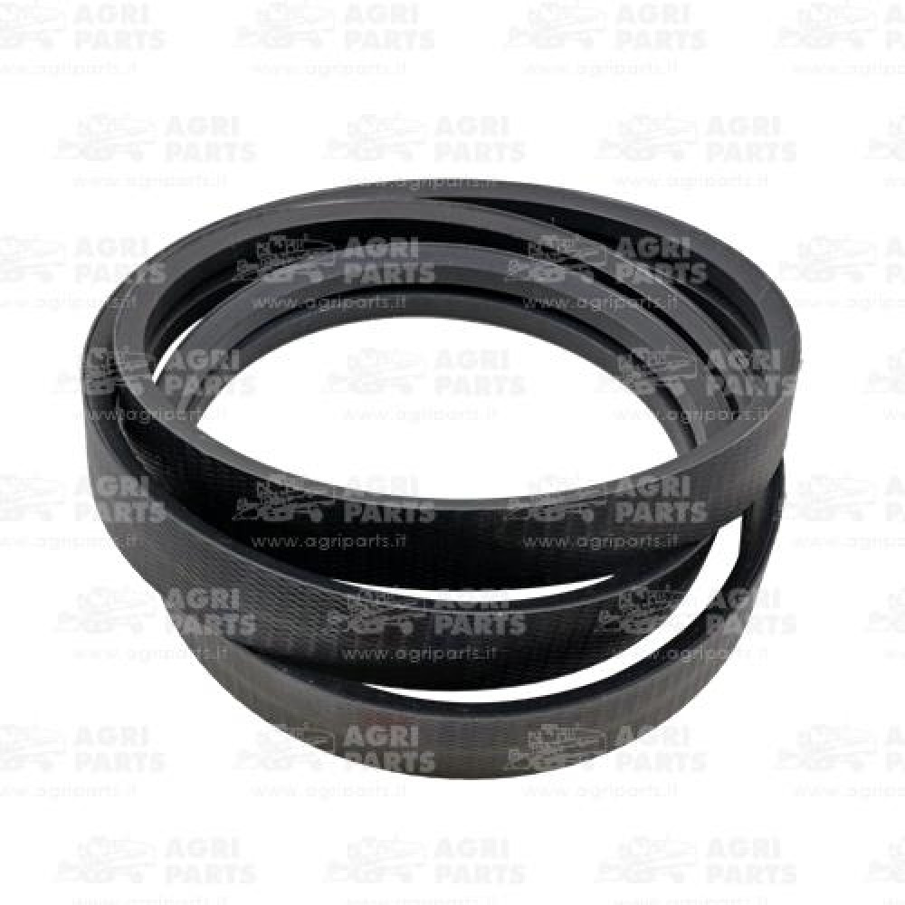 19AP013571 - CINGHIA - 19AP013571