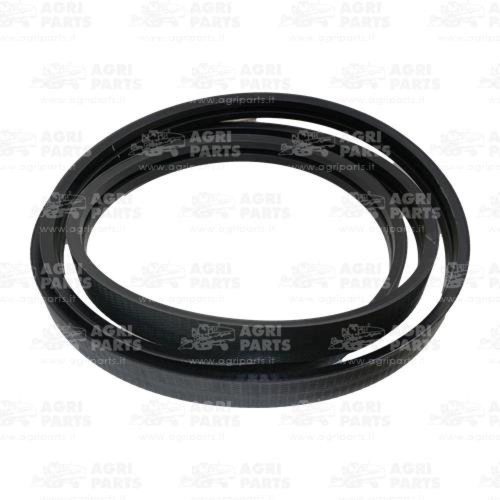 19AP013572 - CINGHIA - 19AP013572