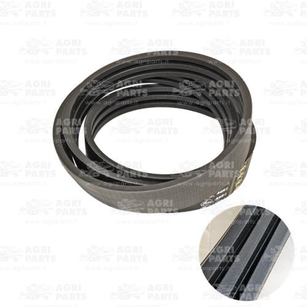 19AP013585 - CINGHIA - 19AP013585