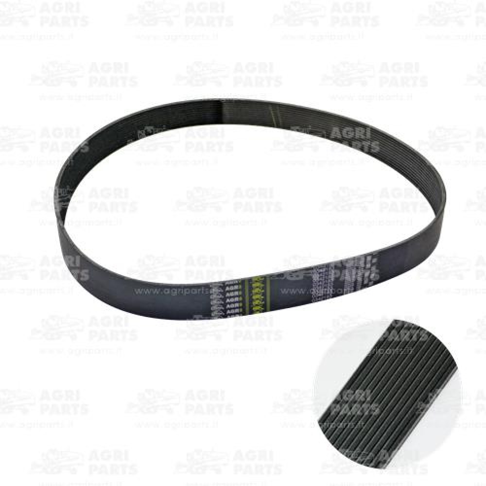 V685121370 - CINGHIA MULTIGOLE - V685121370AG