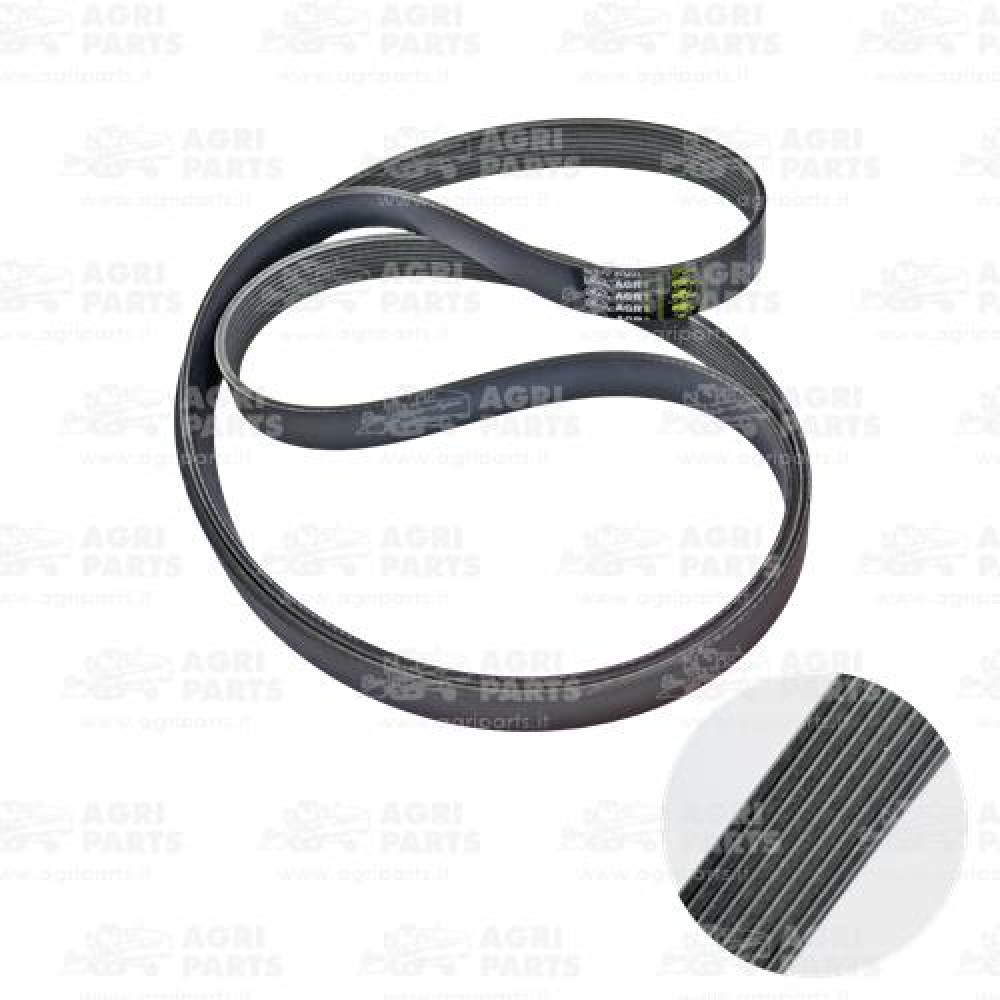 19AP013606 - BELT - 19AP013606