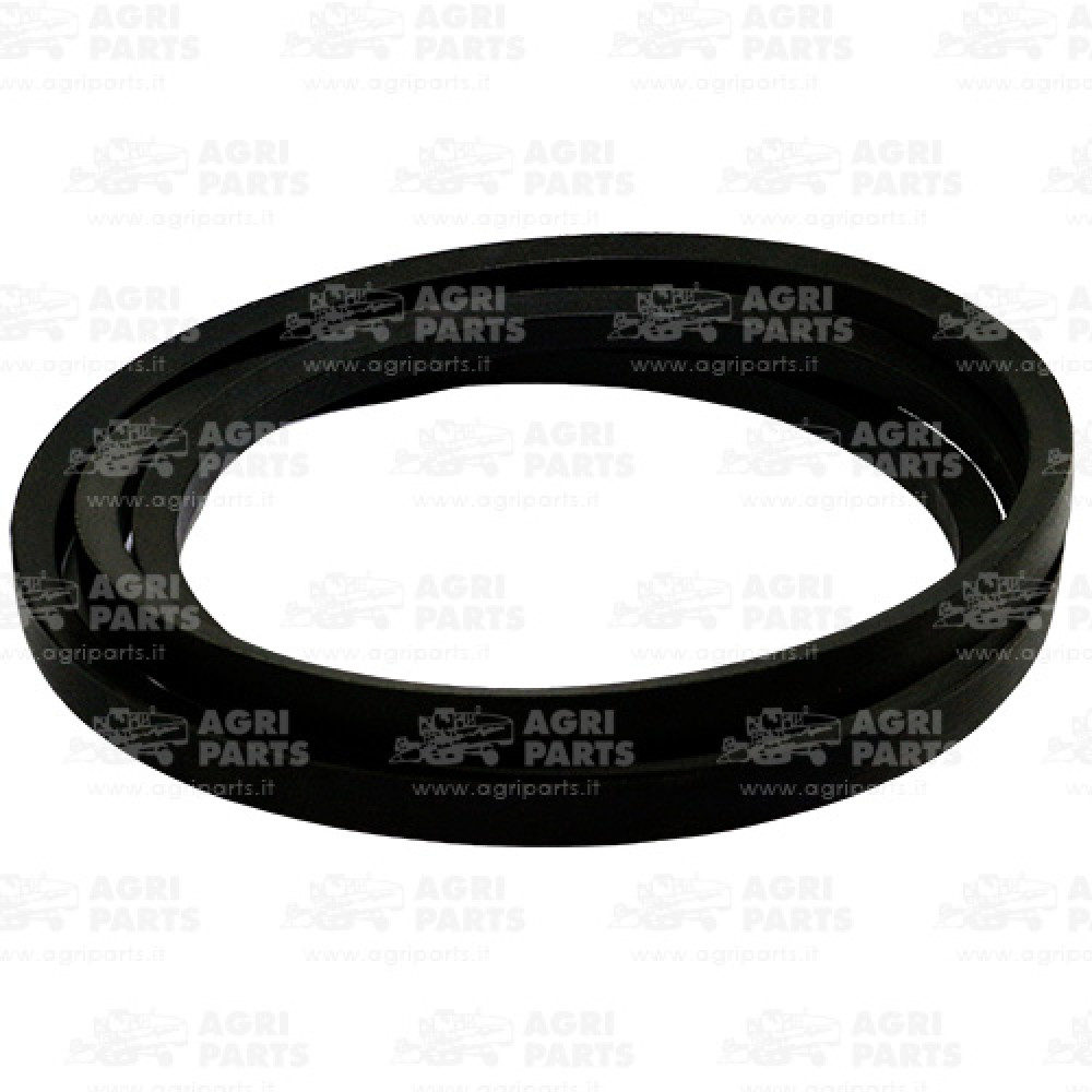 19AP013616 - BELT - 19AP013616