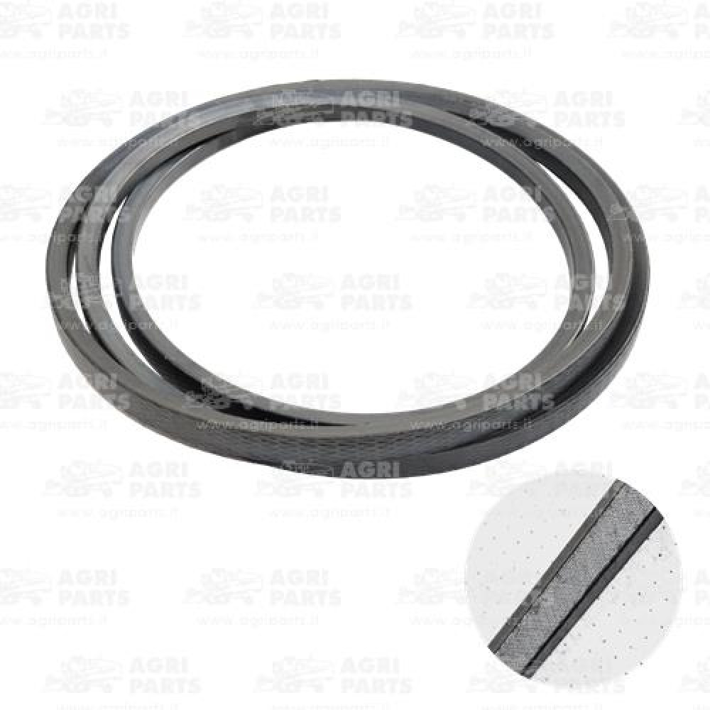 19AP013618 - CINGHIA - 19AP013618