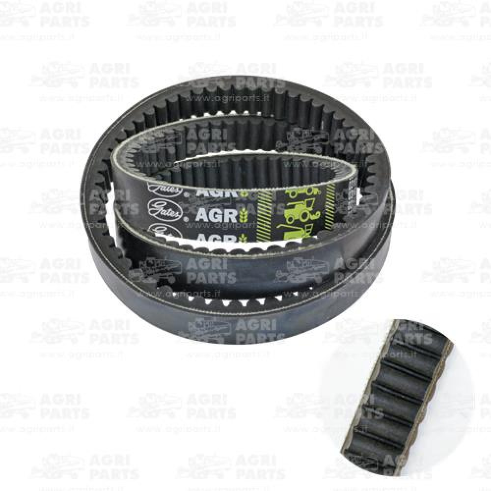 19AP013627 - CINGHIA - 19AP013627