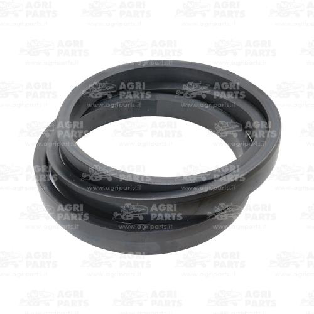19AP013630 - CINGHIA - 19AP013630