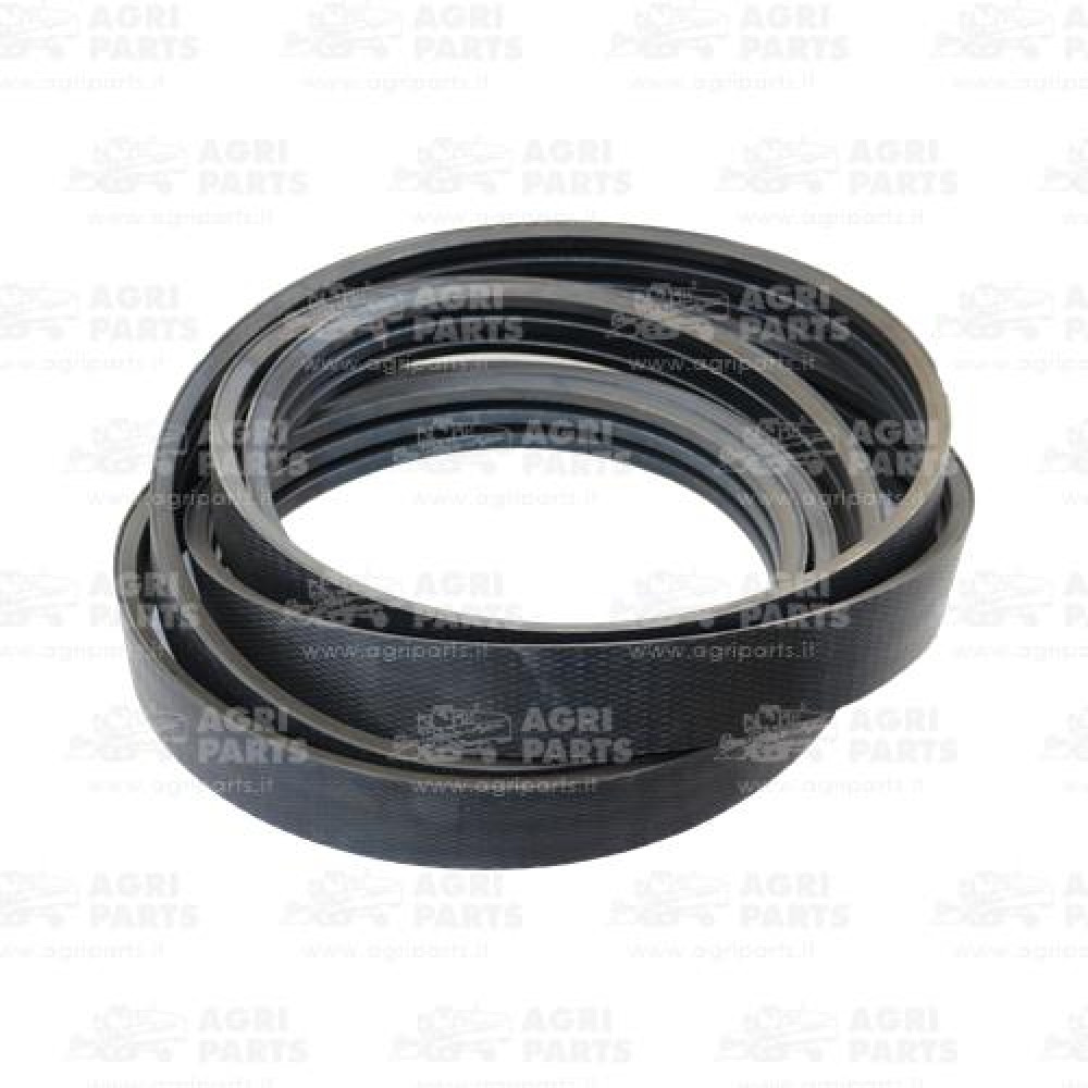 19AP013650 - BELT - 19AP013650