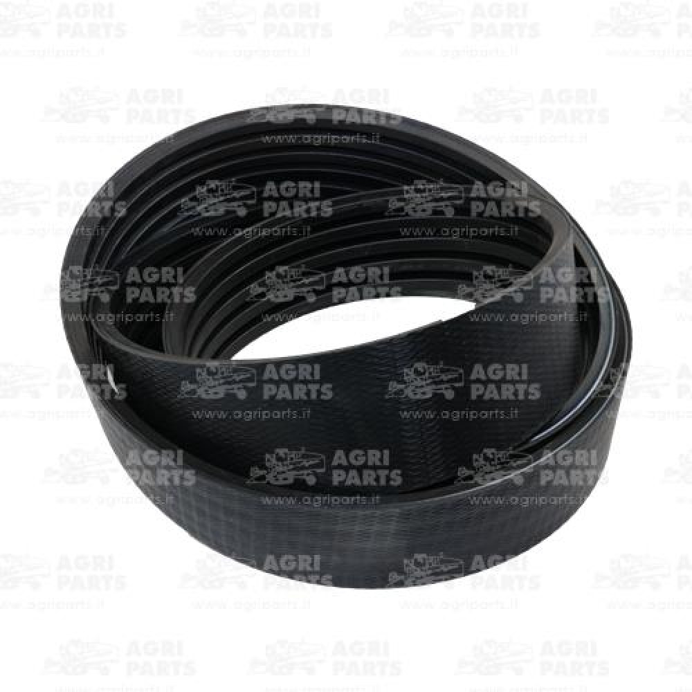 19AP013656 - CINGHIA - 19AP013656