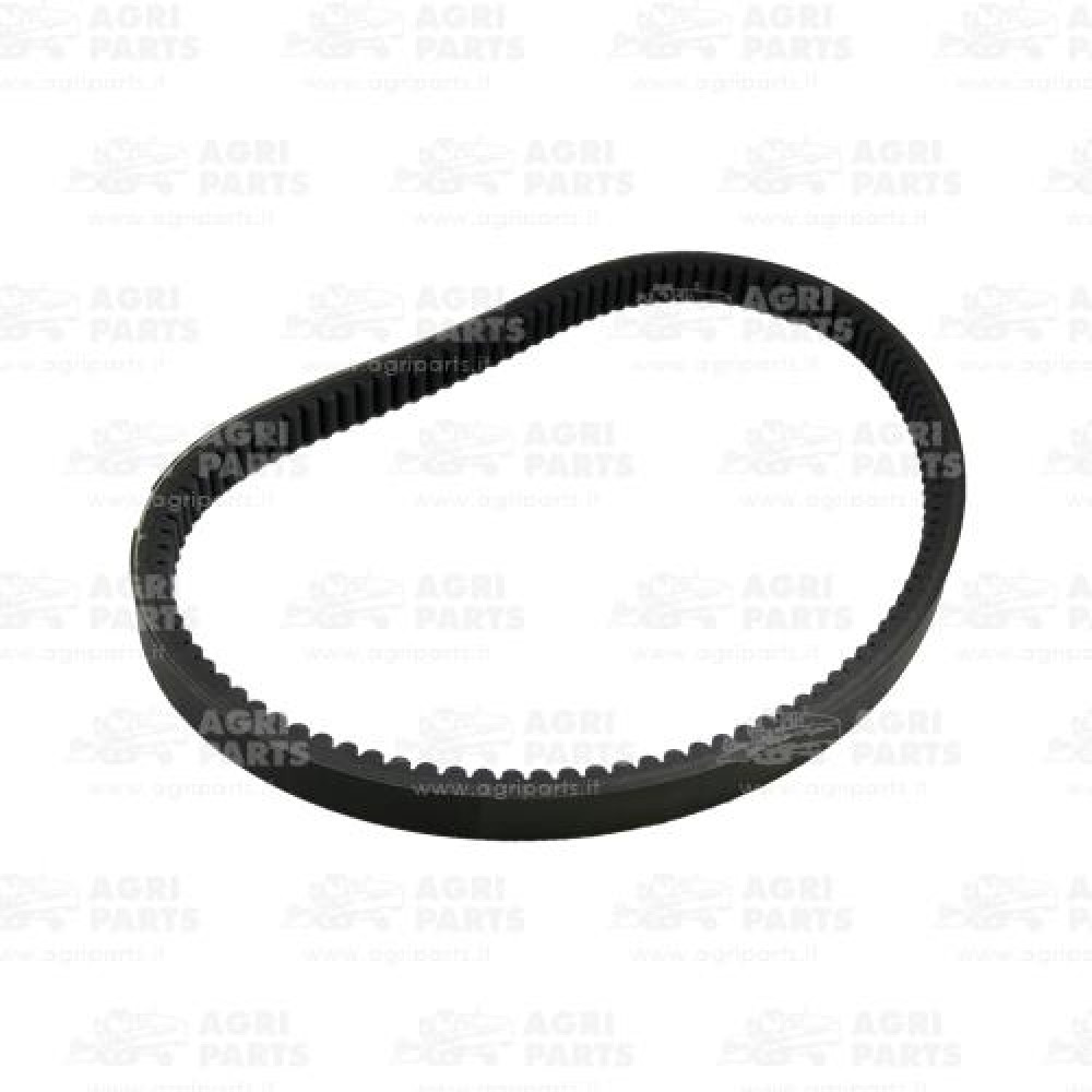 19AP013669 - RIEMEN - 19AP013669