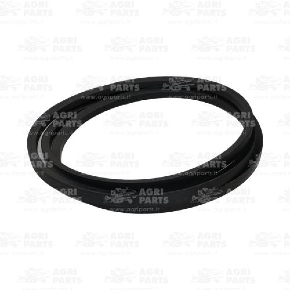 19AP013678 - CINGHIA - 19AP013678