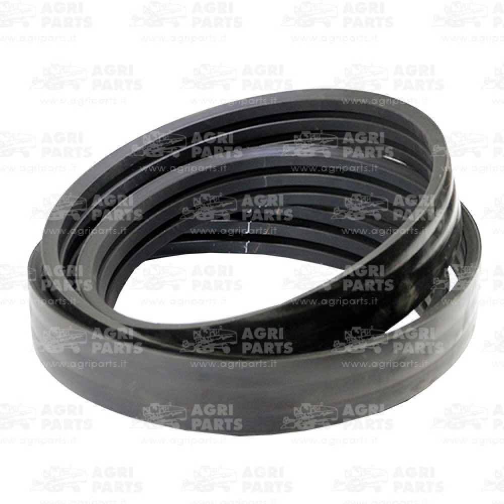 19AP013704 - CINGHIA - 19AP013704