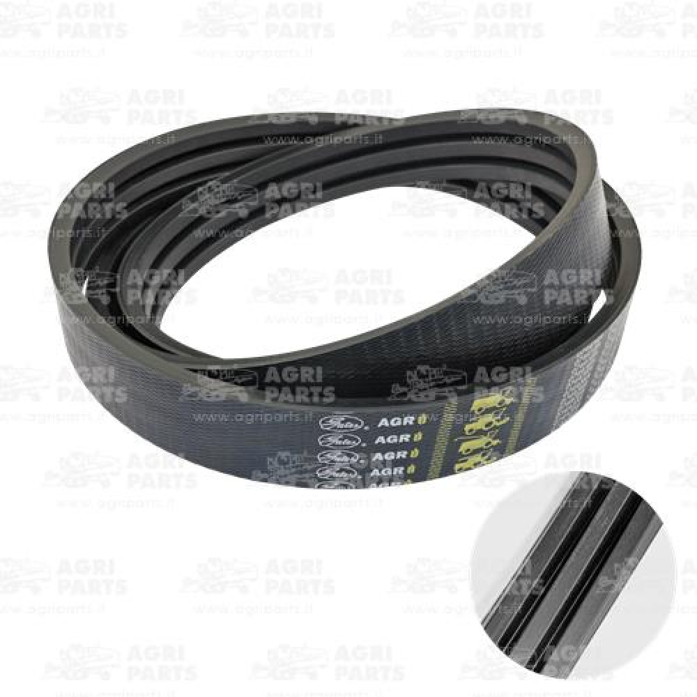 19AP013706 - CINGHIA - 19AP013706