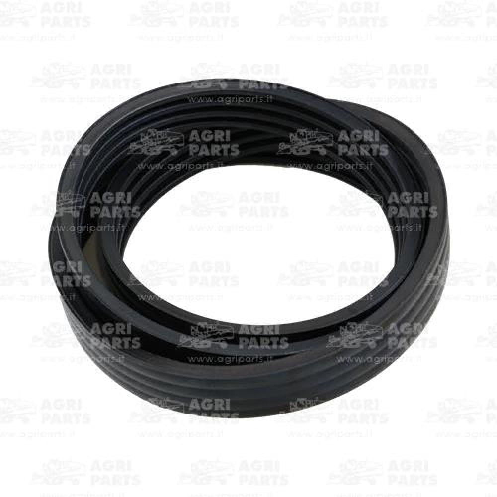 19AP013710 - CINGHIA - 19AP013710