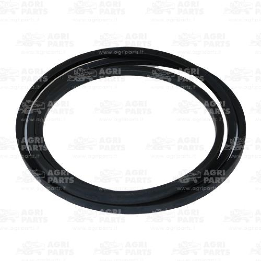 19AP013721 - CINGHIA - 19AP013721