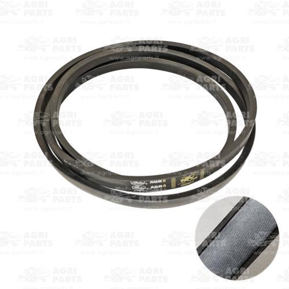 19AP013731 - RIEMEN - 19AP013731