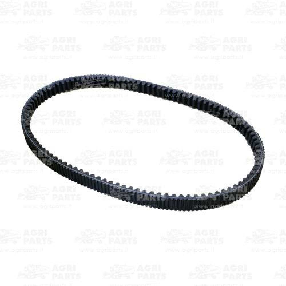 7448700 - CINGHIA - 0007448700CL