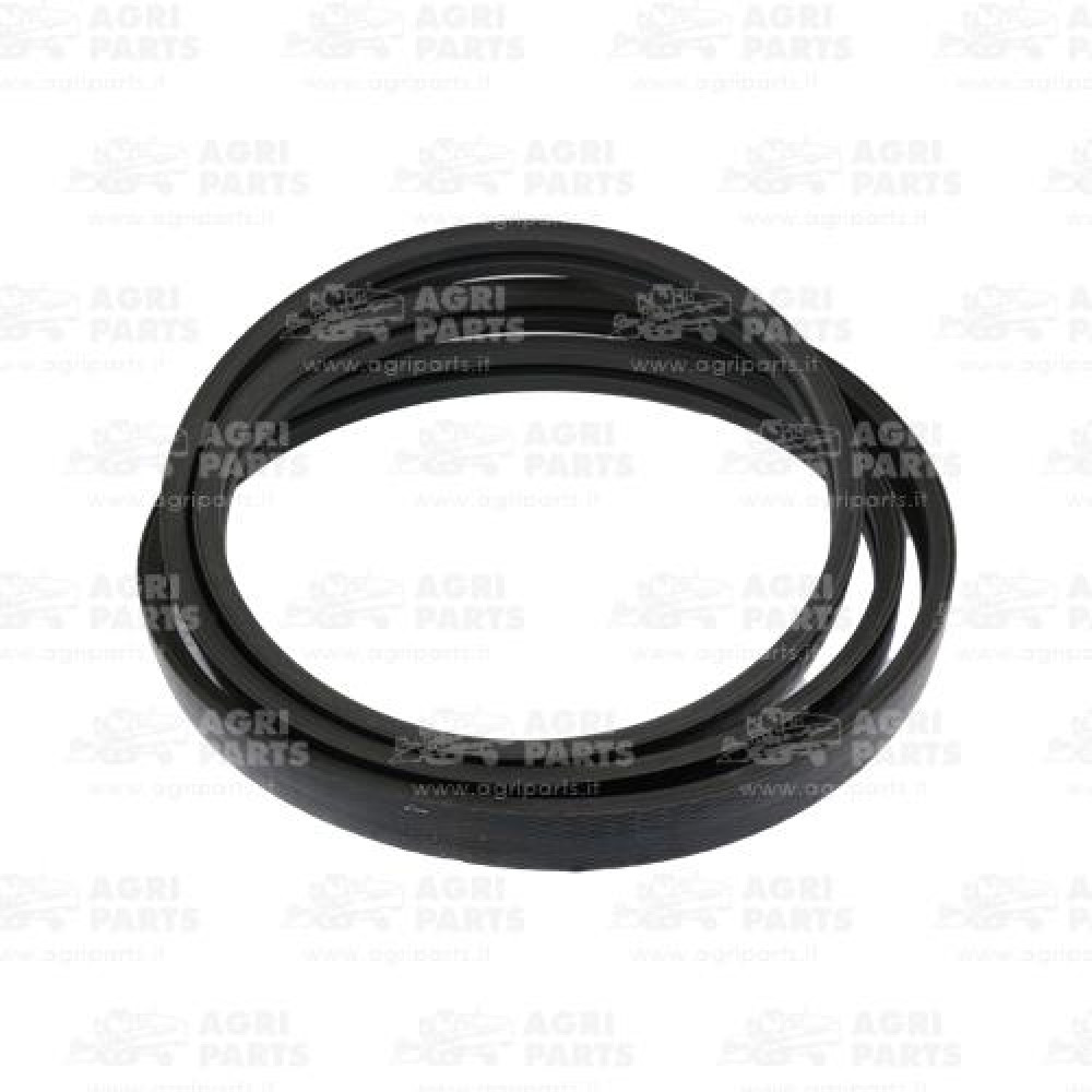 19AP013748 - CINGHIA - 19AP013748