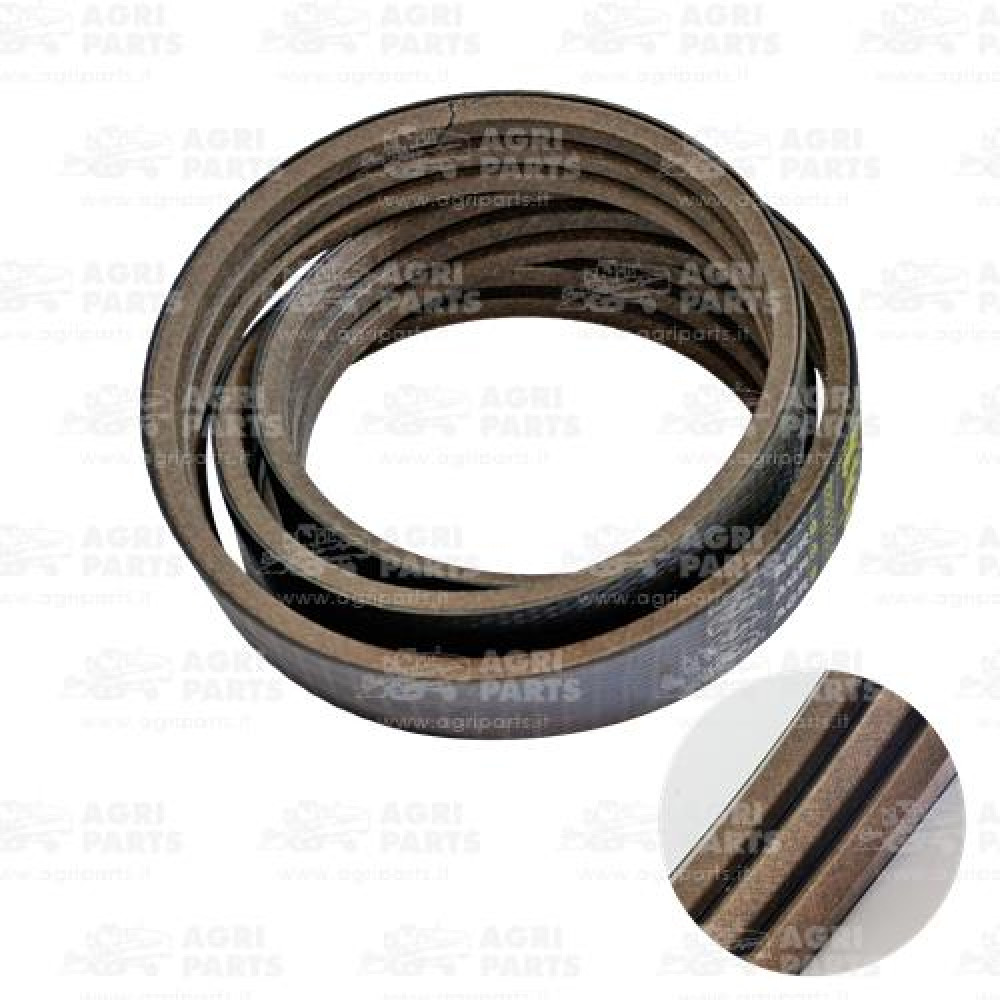 19AP013760 - CINGHIA - 19AP013760