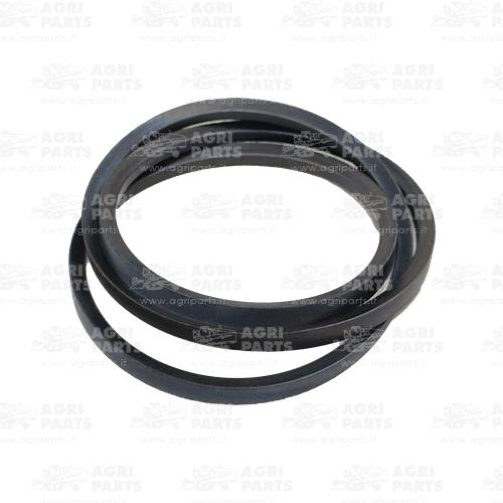 19AP013809 - BELT - 19AP013809