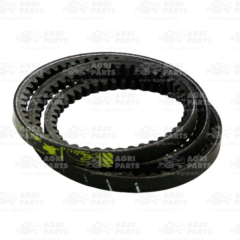 19AP013810 - CINGHIA - 19AP013810