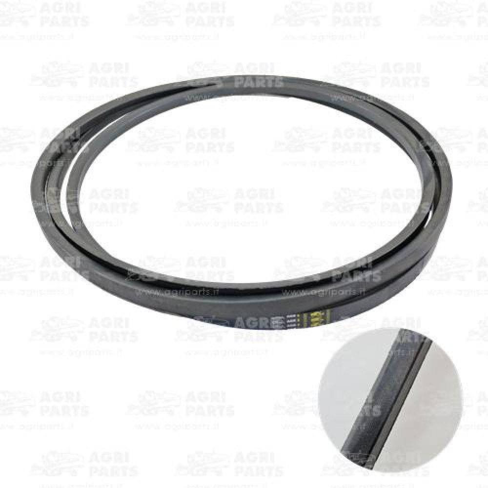 19AP013811 - BELT - 19AP013811