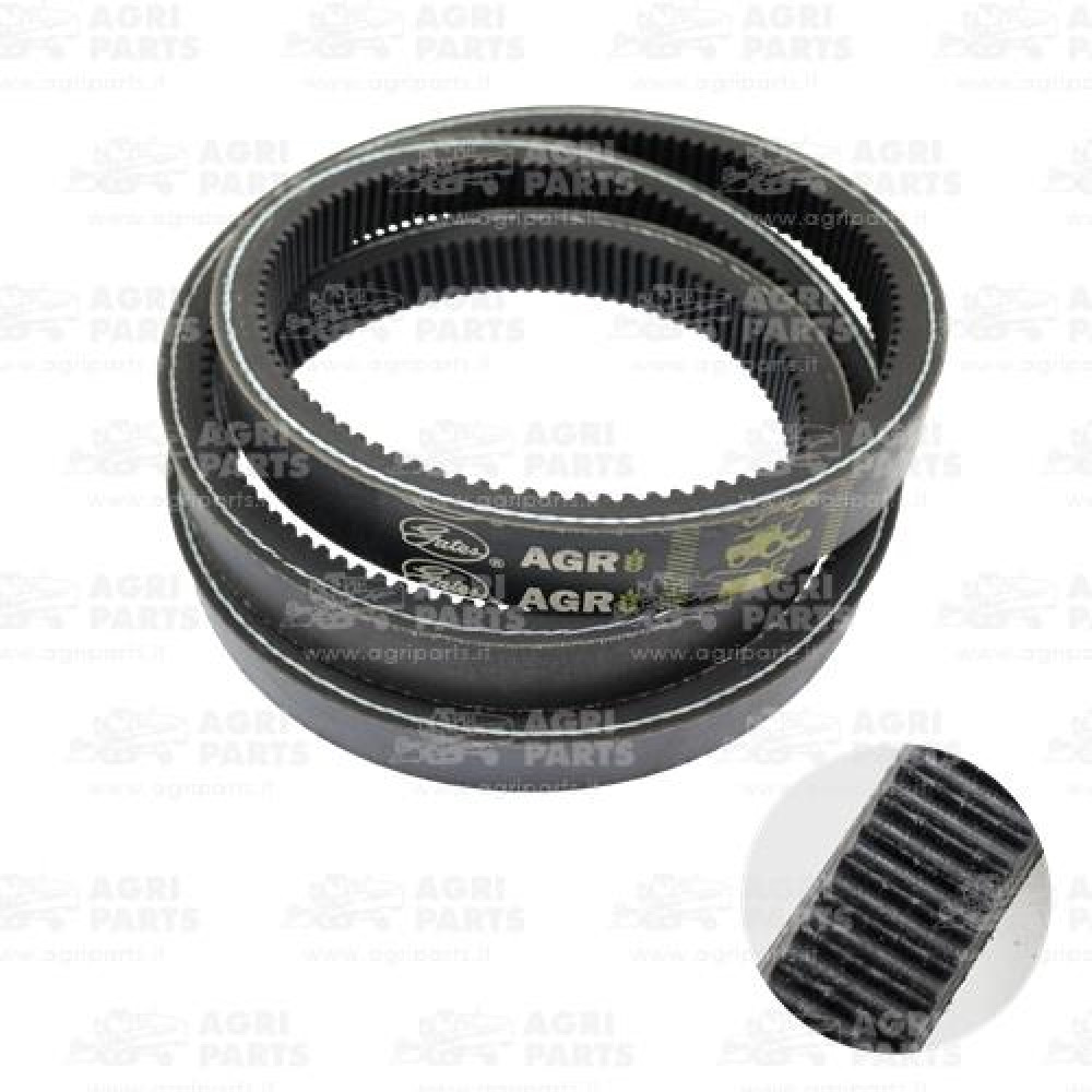 19AP013814 - BELT - 19AP013814