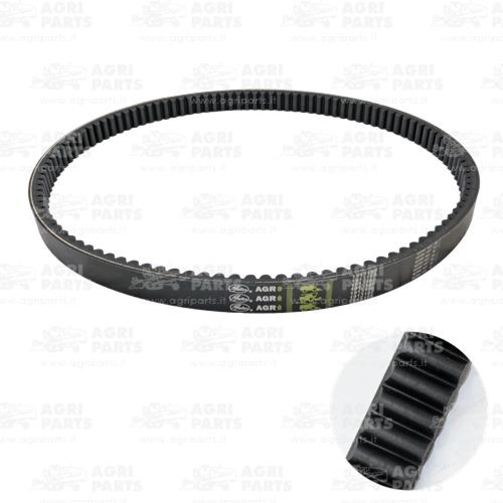 19AP013818 - RIEMEN - 19AP013818