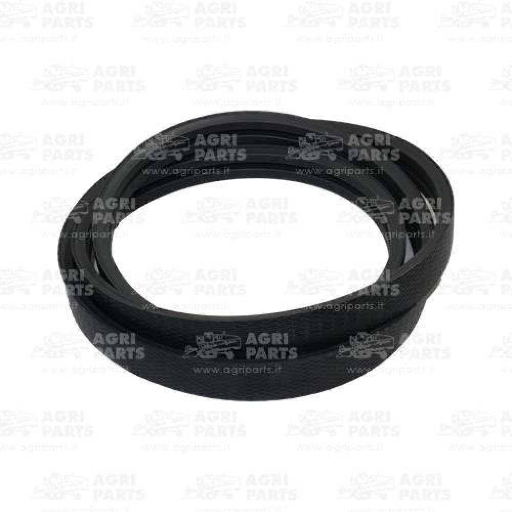 19AP013819 - BELT - 19AP013819