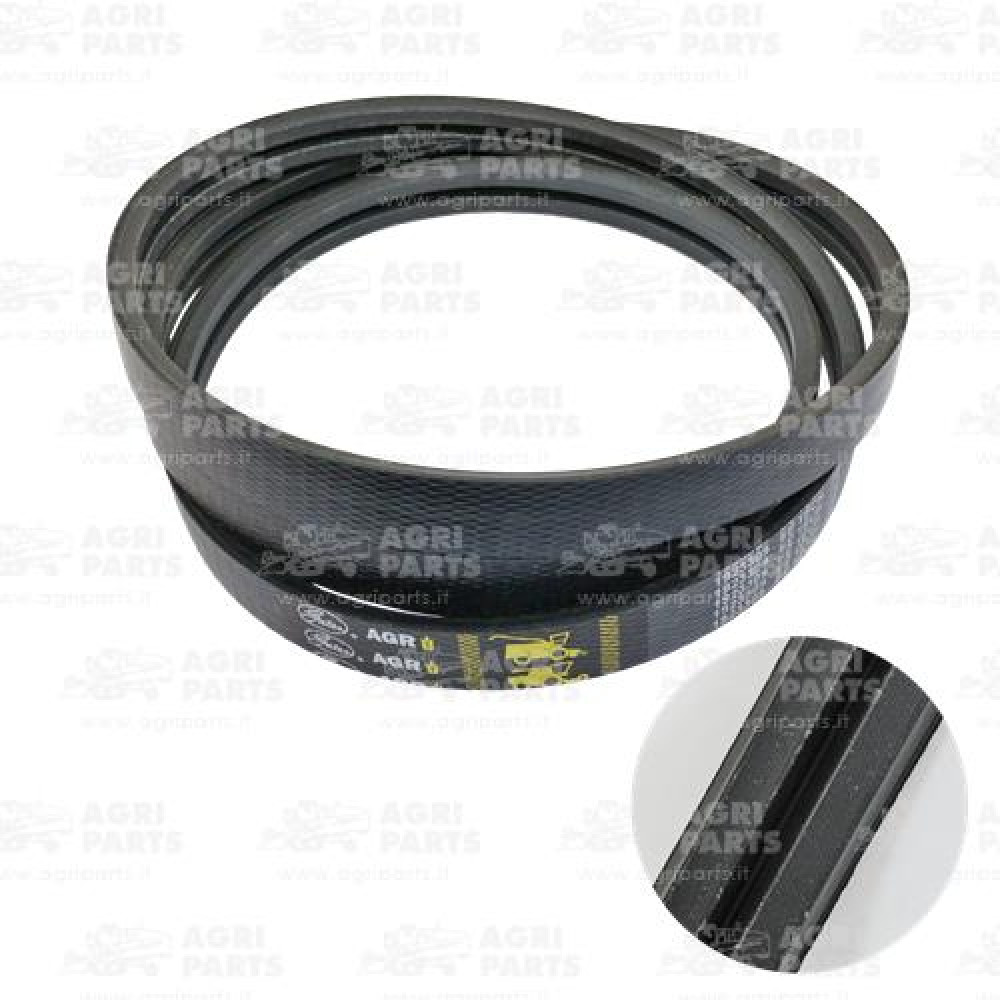 19AP013821 - CINGHIA - 19AP013821