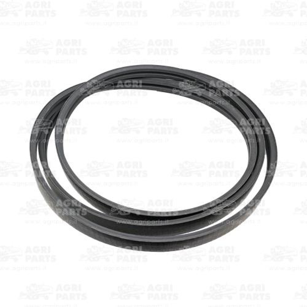 344311137 - CINGHIA - LA344311137AG