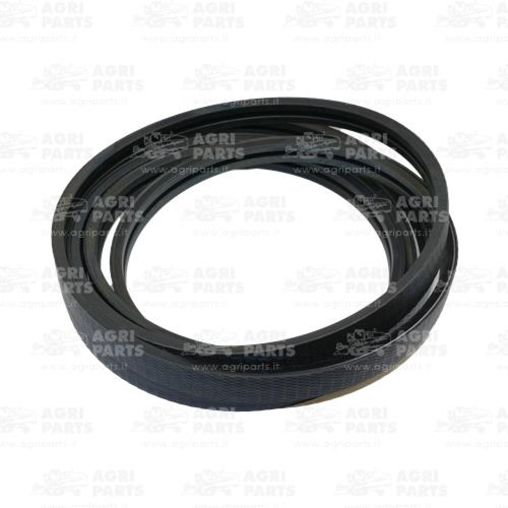 19AP013824 - BELT - 19AP013824