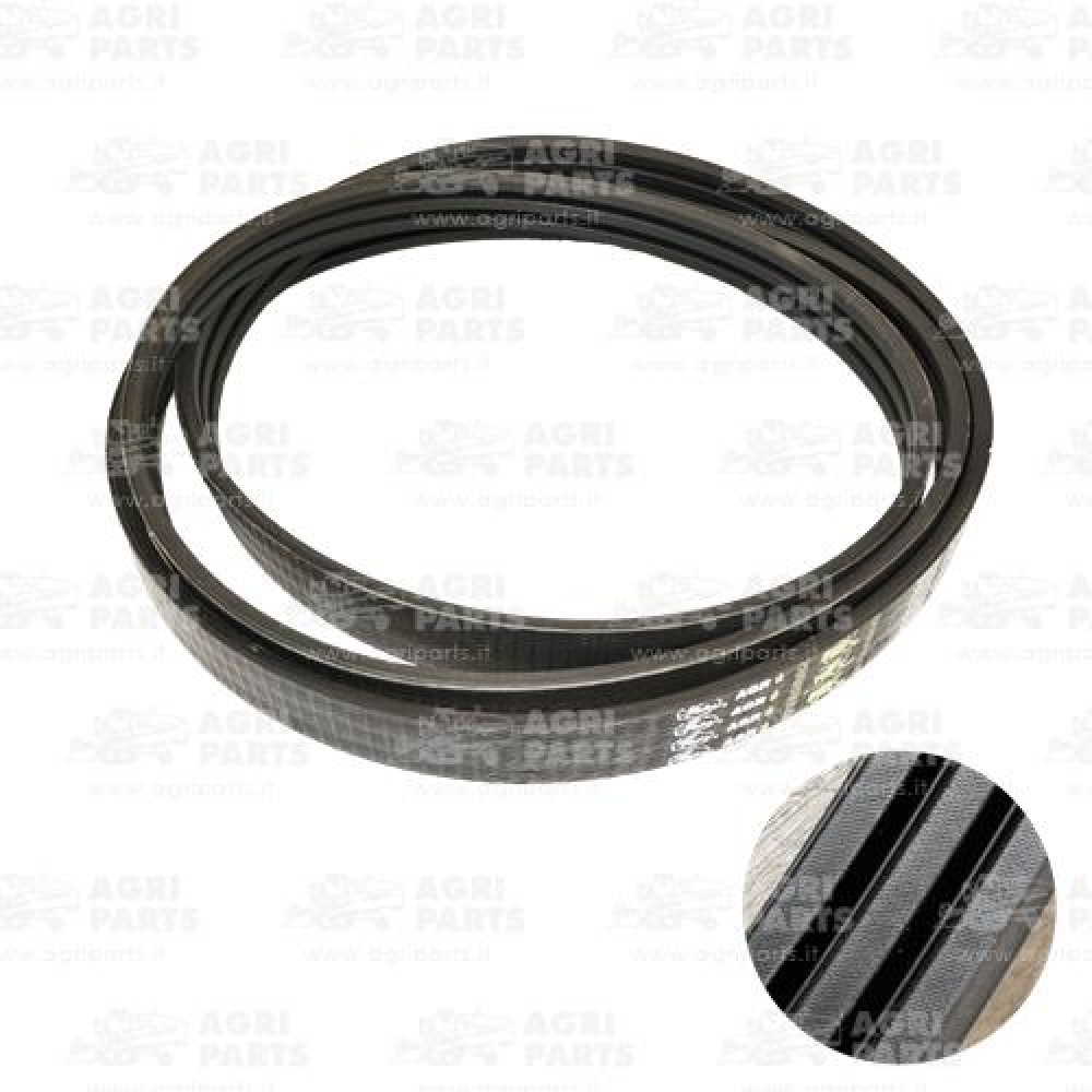 19AP013828 - BELT - 19AP013828