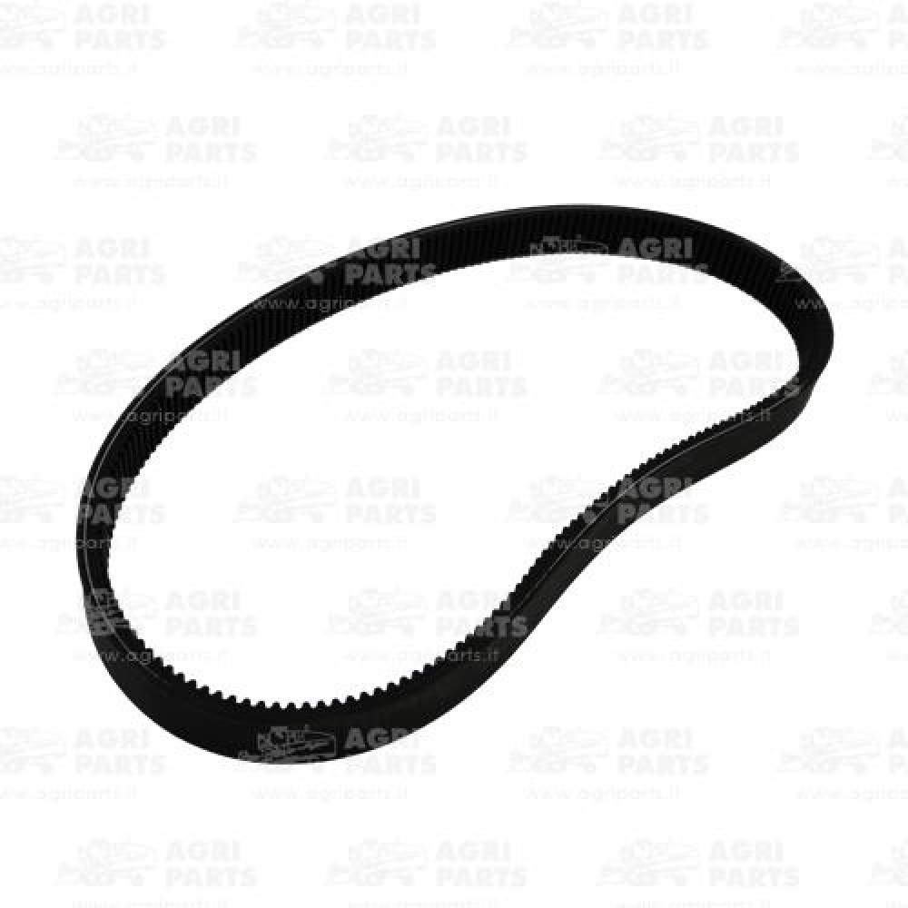 340434140 - CINGHIA - LA340434140AG