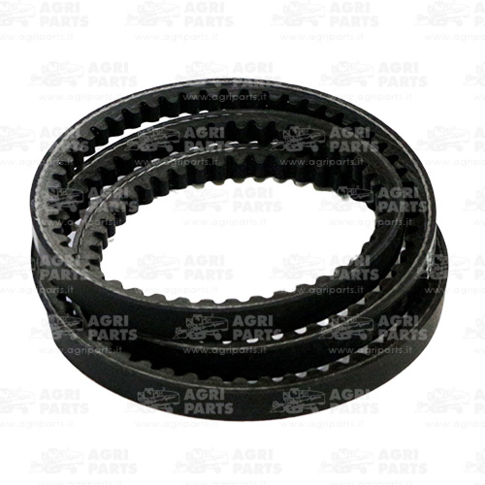 19AP013870 - CINGHIA - 19AP013870