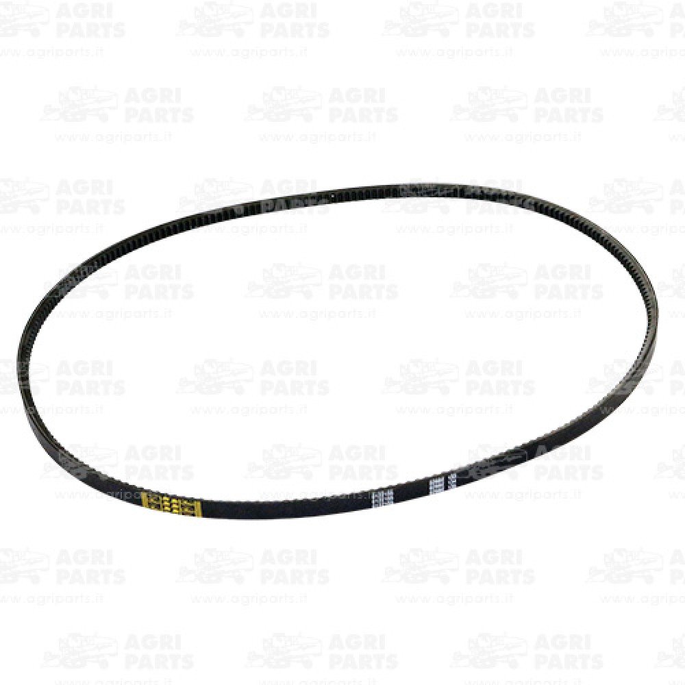 19AP014158 - CINGHIA - 19AP014158