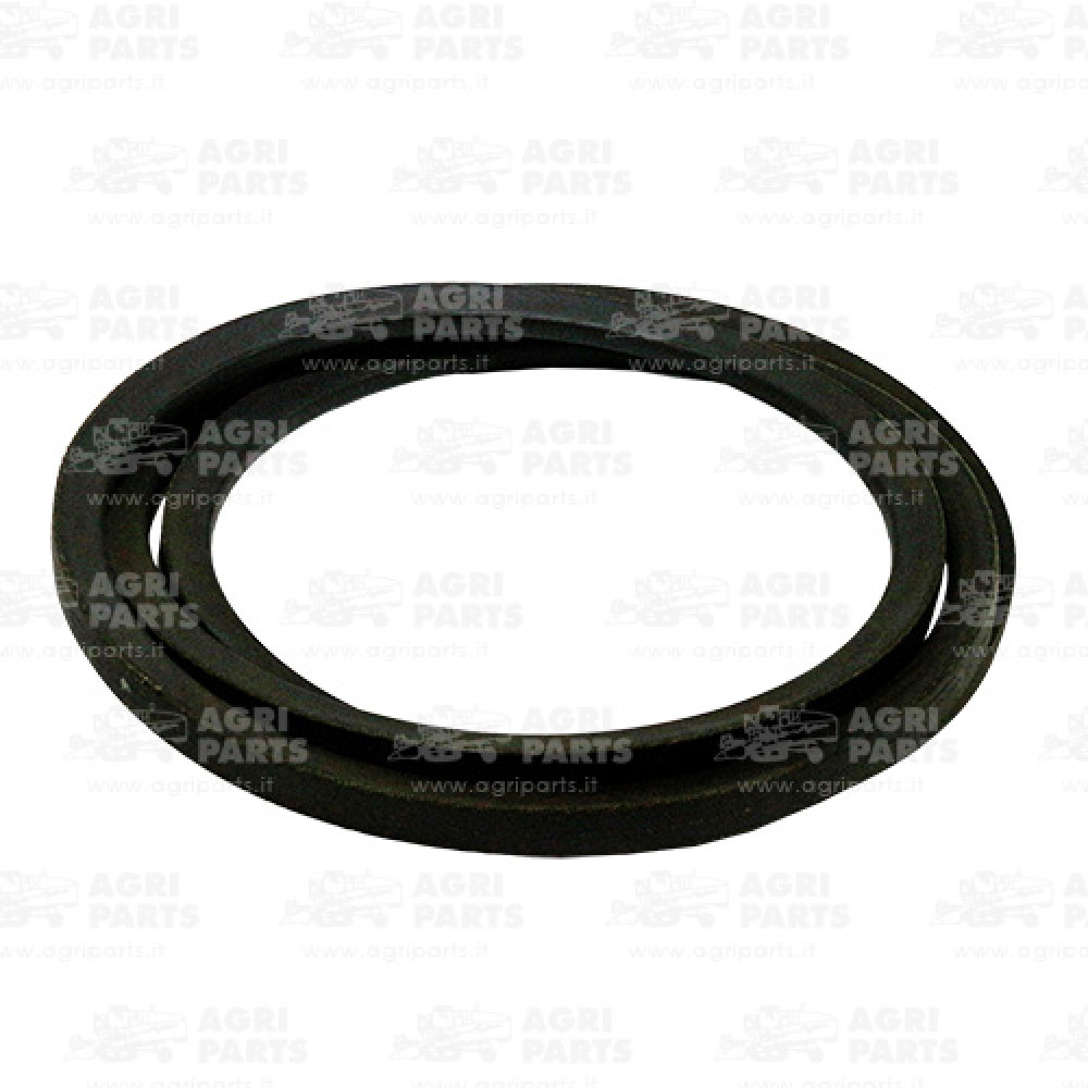 19AP014314 - CINGHIA - 19AP014314