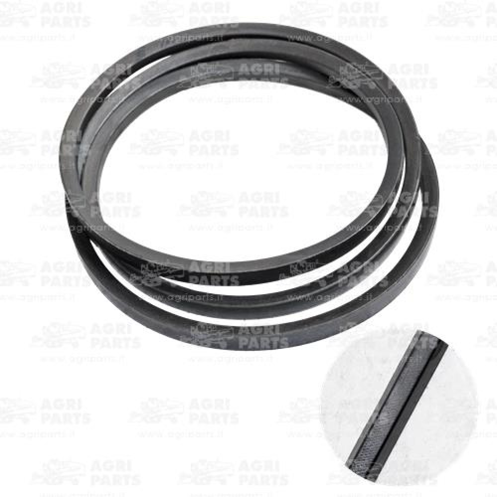 H238870 - CINGHIA - H238870JD