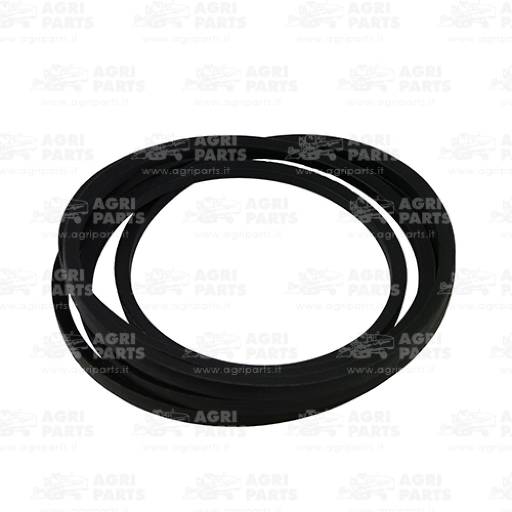 19AP014975 - RIEMEN - 19AP014975