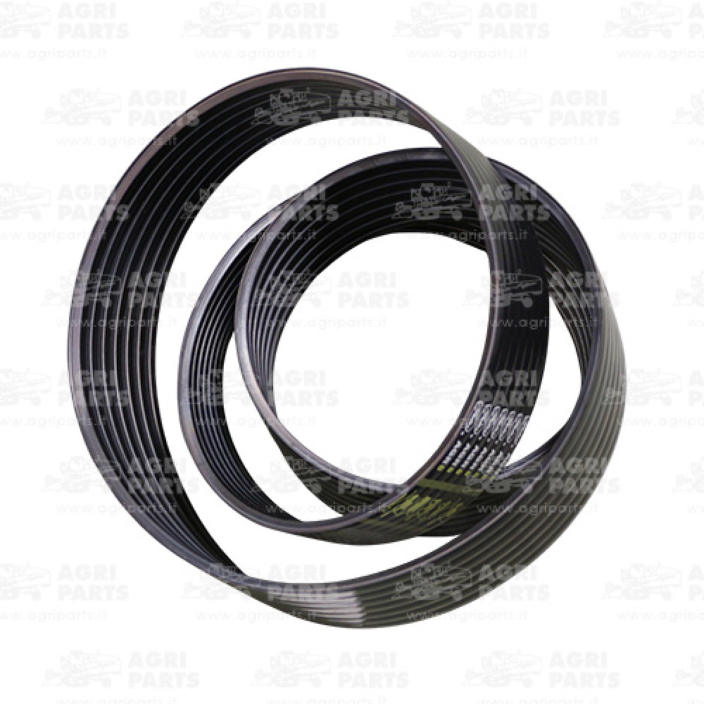 1428451 - MULTIPLE BELT - 0001428451CL