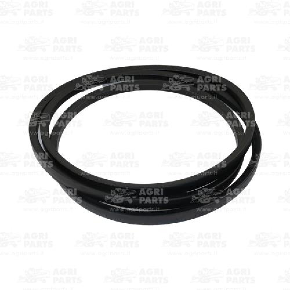 20AP015054 - CINGHIA - 20AP015054