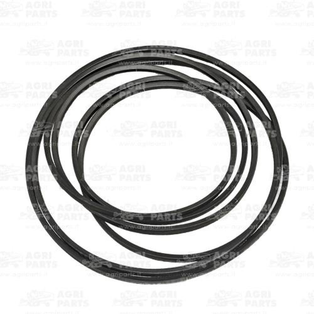 20AP015353 - COPPIA CINGHIE - 20AP015353