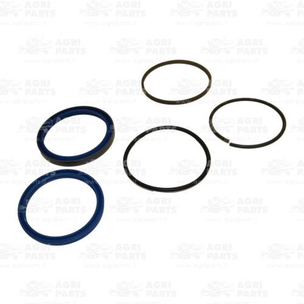 251811A1 - GASKET KIT - 251811A1CNH