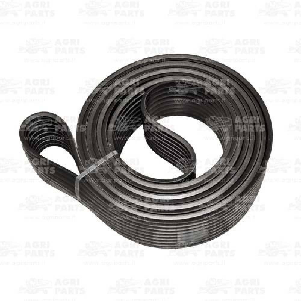 1242250 - RIEMEN - 0001242250CL