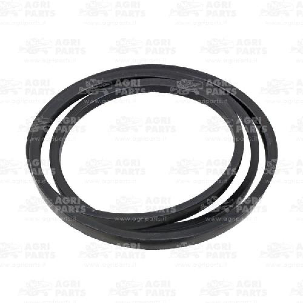 21AP016060 - RIEMEN - 21AP016060