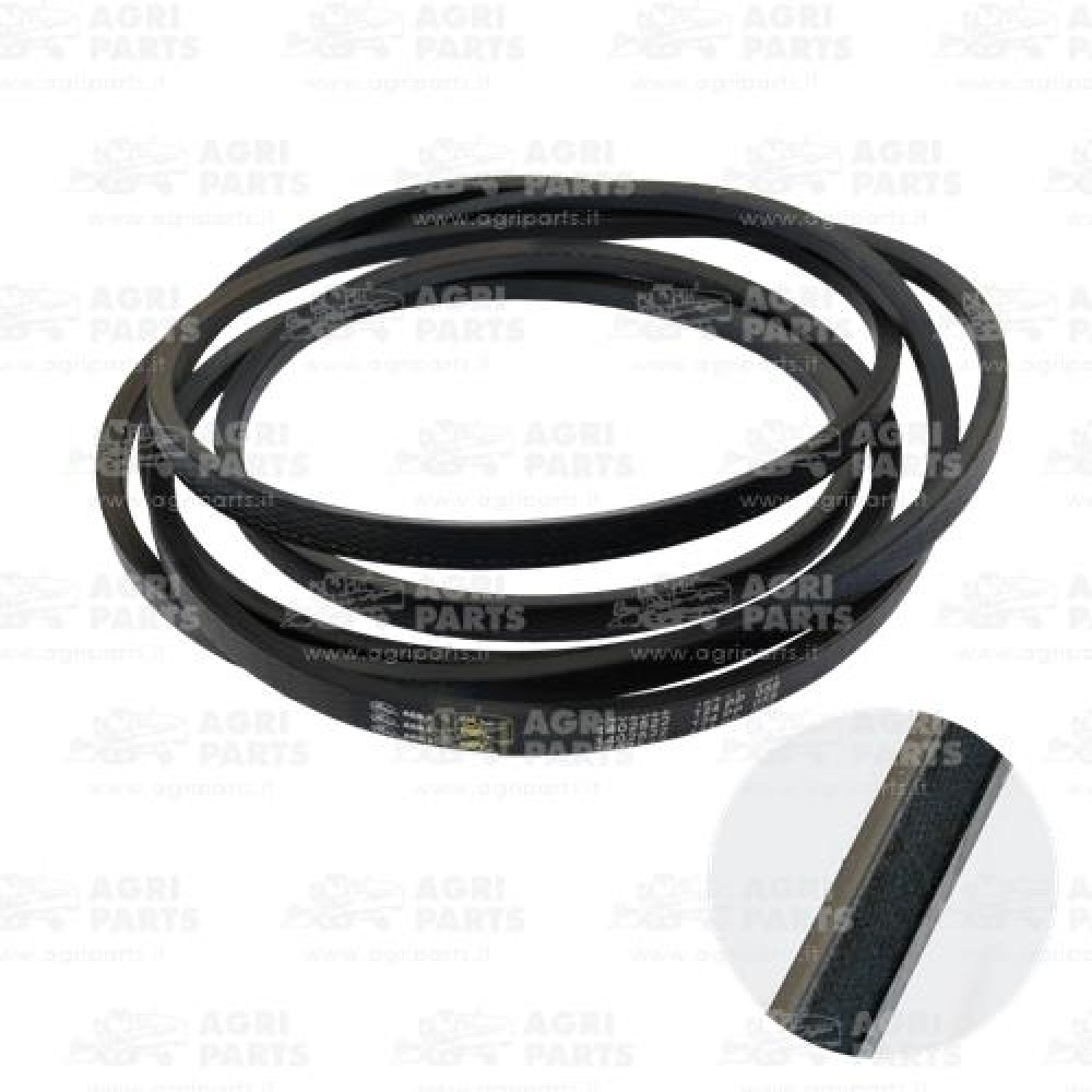 21AP016352 - CINGHIA - 21AP016352