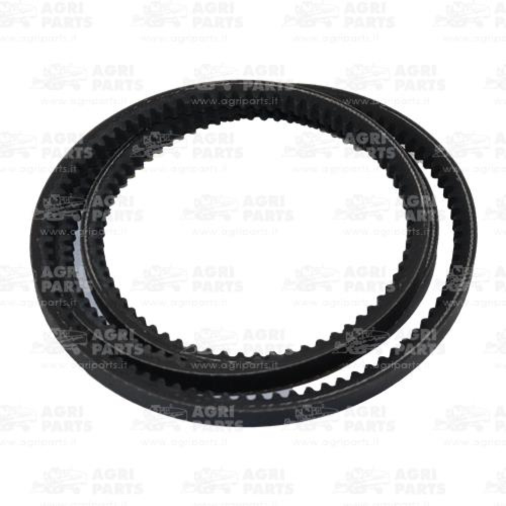 21AP016497 - BELT - 21AP016497