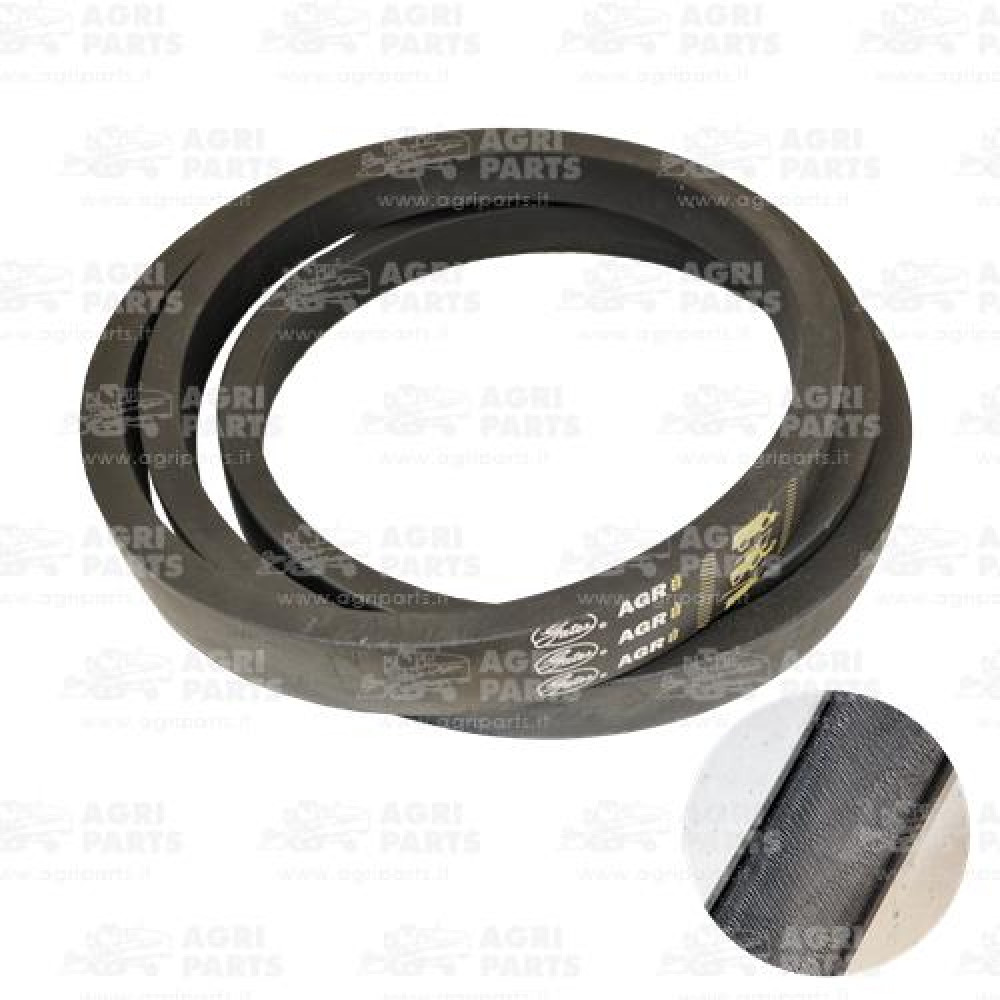 21AP016503 - MULTIPLE BELT - 21AP016503