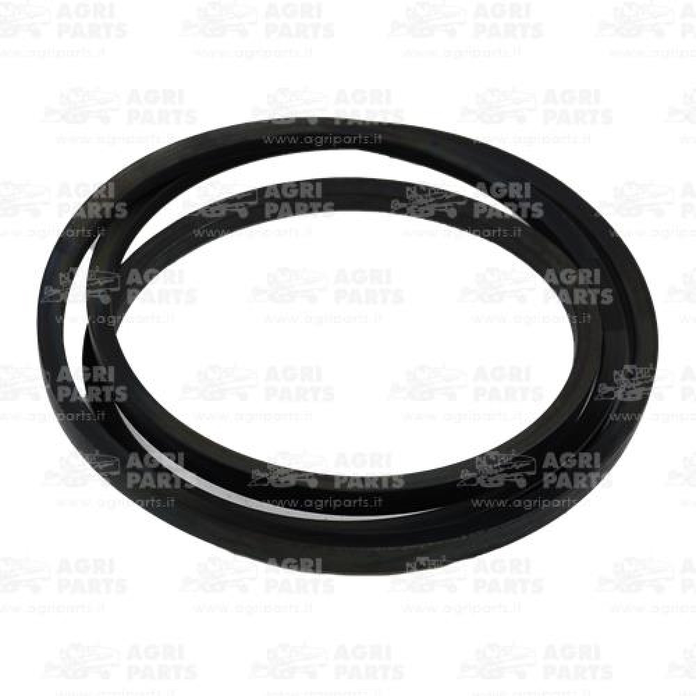 21AP016506 - CINGHIA - 21AP016506